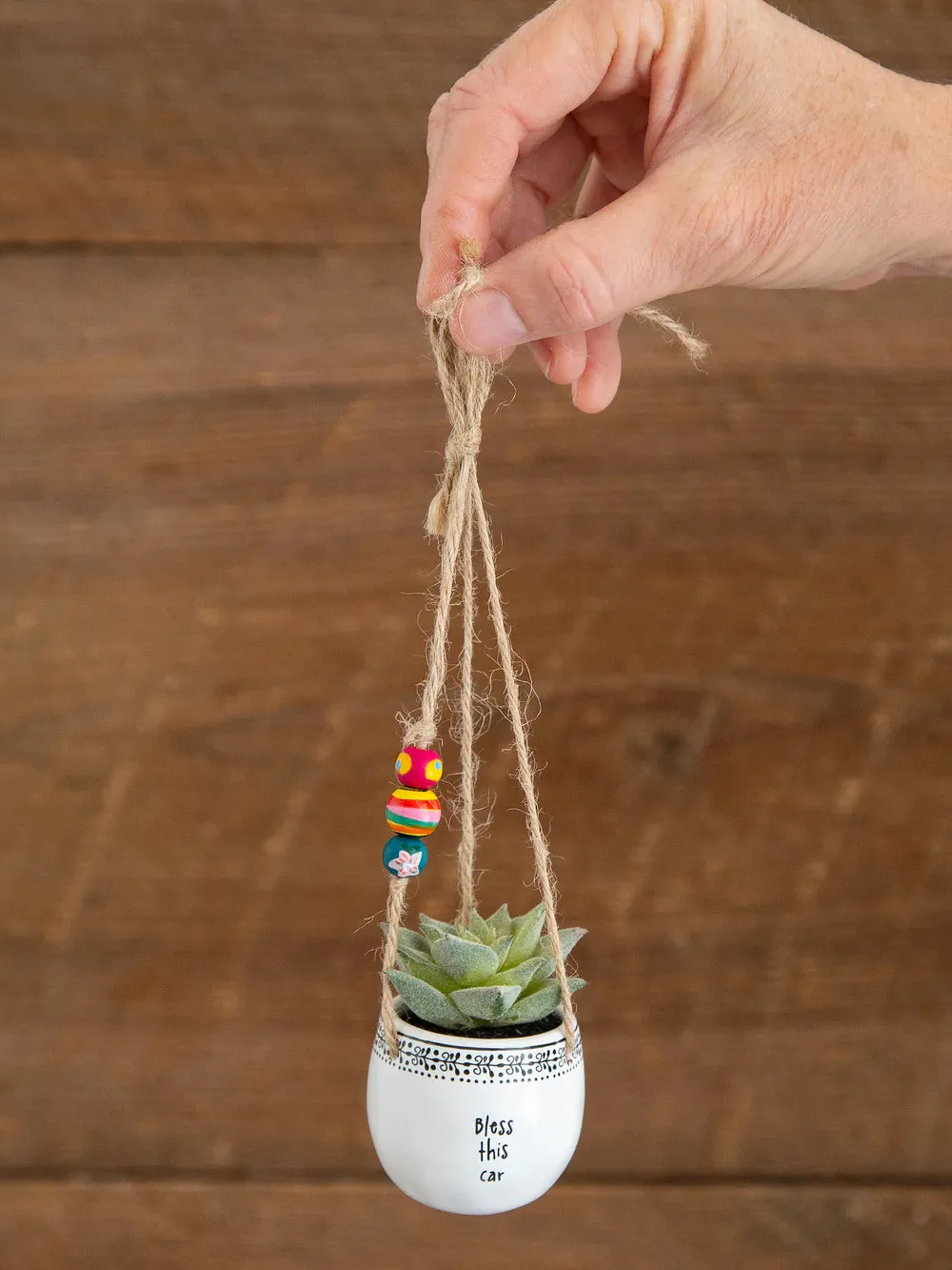 Car Hanging Succulent