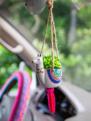 Car Hanging Succulent