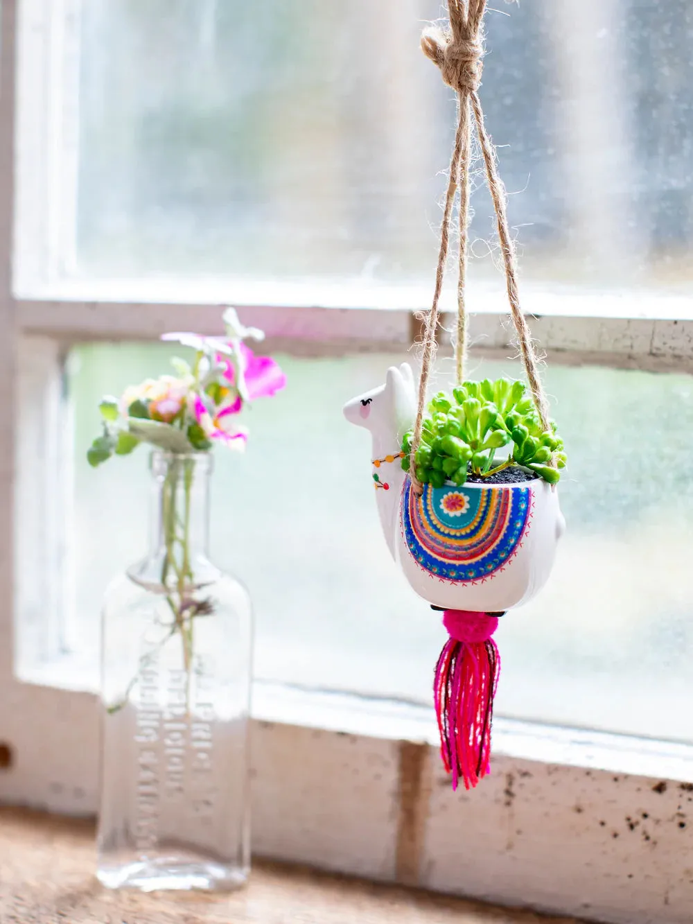 Car Hanging Succulent