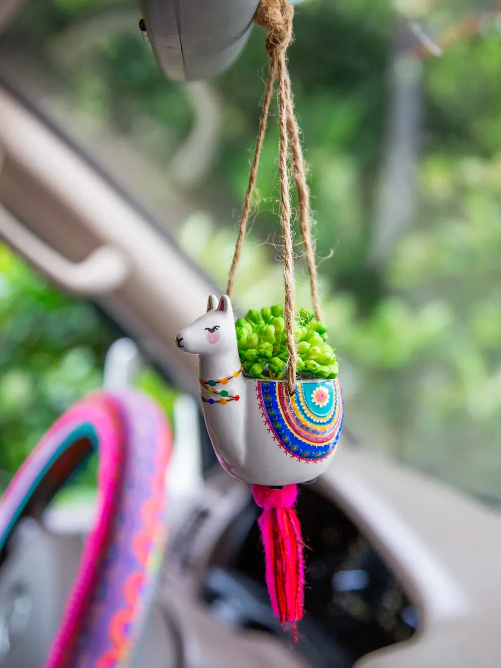 Car Hanging Succulent