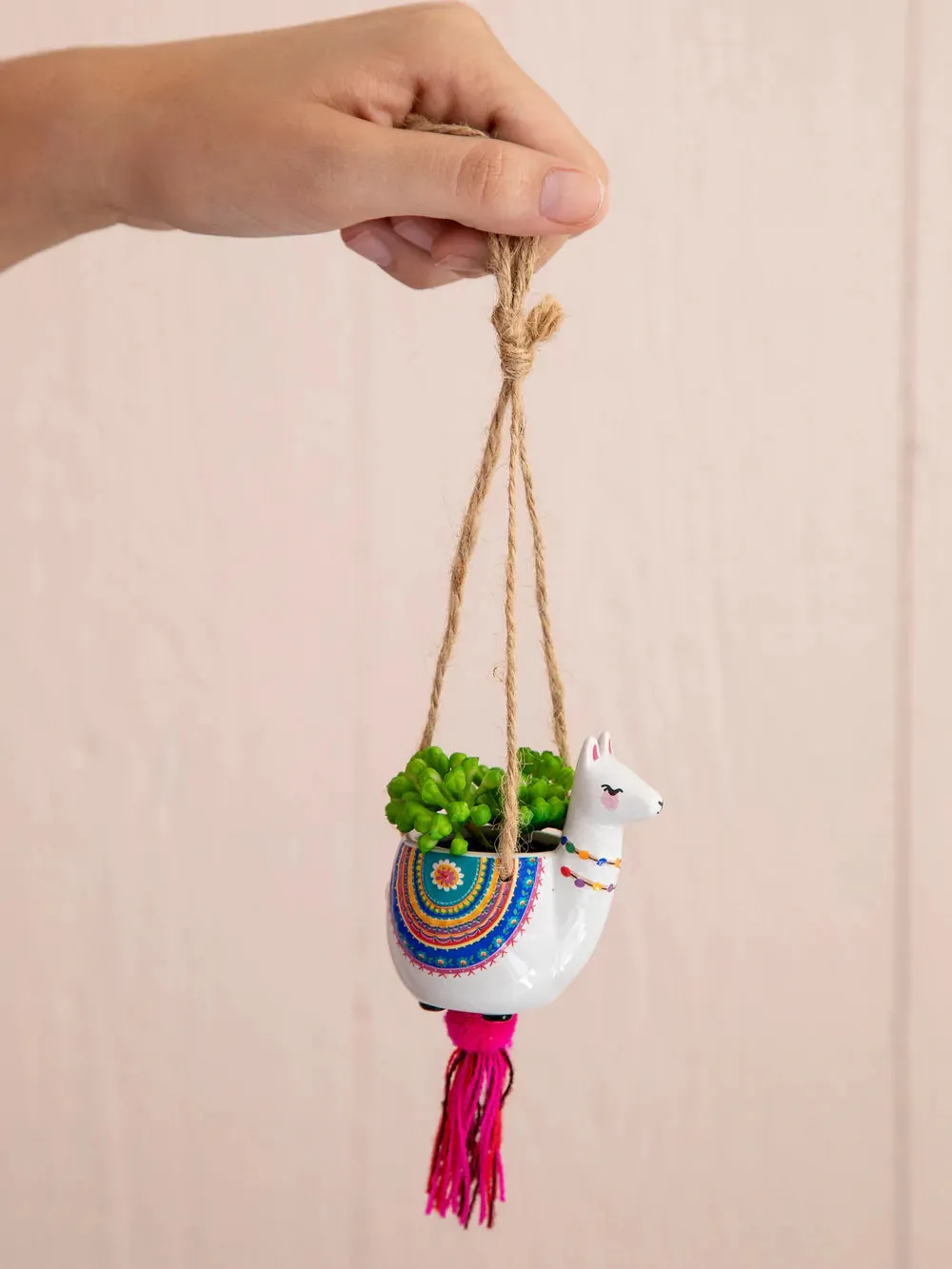 Car Hanging Succulent