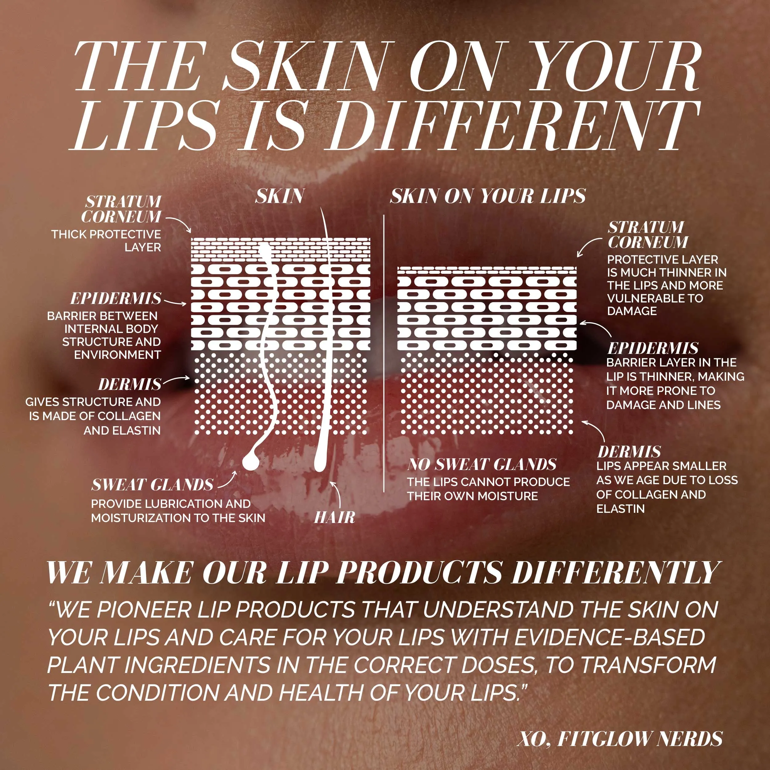 Ceramide Lip Hydra Balm