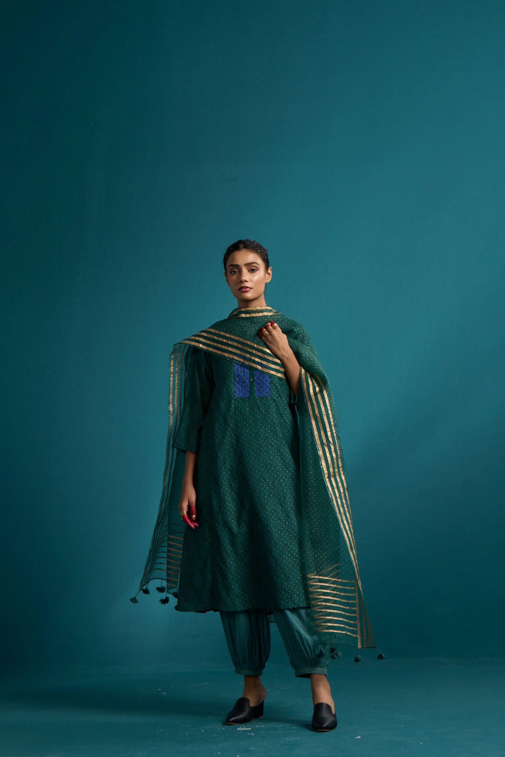 Mahsa printed silk organza dupatta